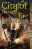 Book cover for "City of heavenly fire".