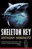 Book cover for "Skeleton key".