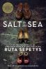 Book cover for Salt to the sea.