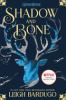 Book cover for "Shadow and bone"