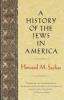 Book cover for A history of the Jews in America.