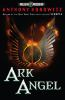 Book cover for "Ark angel".