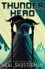 Book cover for "Thunderhead".